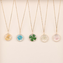 �¿���ׁ��L��ɫС����ֲ��ɻ����������͹ŕr����Ů�ƷŮ