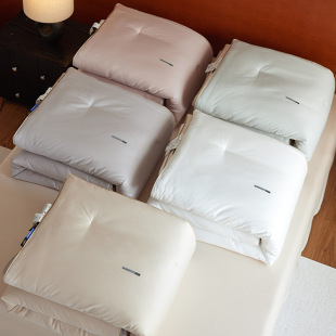 Light Luxury Class a Genuine 100S Cotton Satin Long-Staple Cotton Spring & Fall Quilt Simple Pure Color Double Quilt for All Seasons Washable