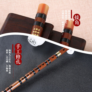 ���әM�ьW�����WGF�̌W����Ӗ�����S�~�β����嘷�������������]