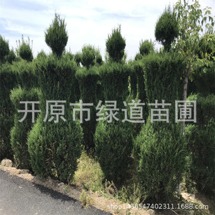 �|�������ɰؘ����ش��Ȱؙu��ͥԺ�L�����Ͱؘ����