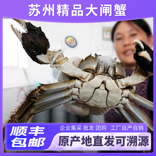 ���lз����Y�д��lз�������˴��l���lꖳι��Sֱ�l�ۺ�o�n