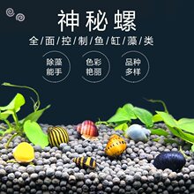 �^�p���~�׳����坍�S���ݚ����ݰ��R�ݳ��s�ݺڽ���΁ţ���w1cm