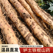 河南焦作温县怀山药铁杆山药垆土铁棍山药 粉糯香甜新鲜山药批发