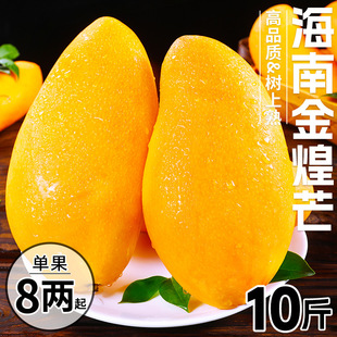 ���Ͻ��â10��â�����rˮ�������Fժ������âˮ��â���������]