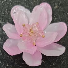 �S�����l��֬����diy���L�h���^l���������ϻ��겣�����|ɺ��