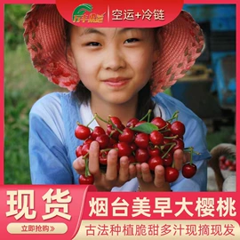 苹果;梨;瓜果类