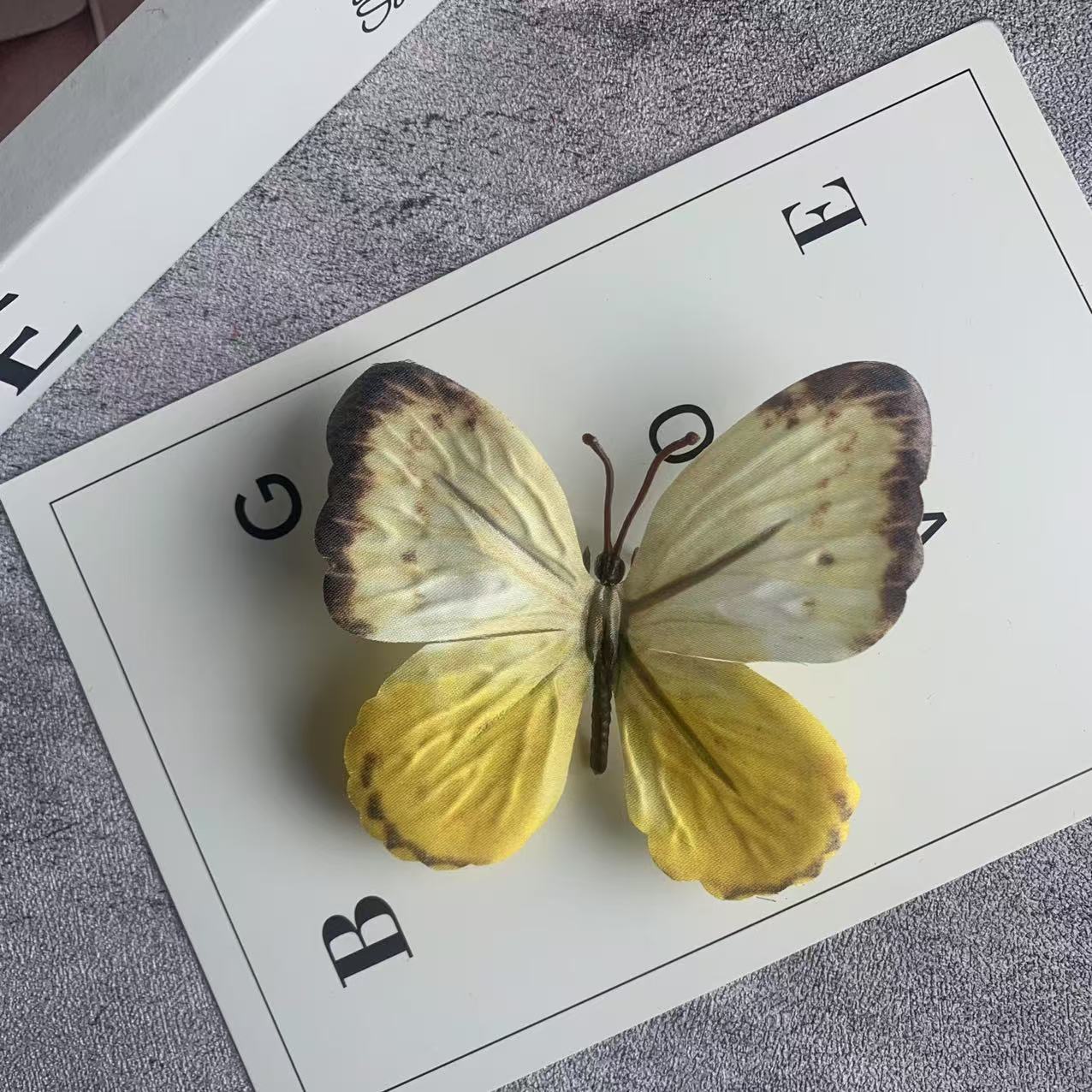 빅 버터플라이 샴페인 옐로우