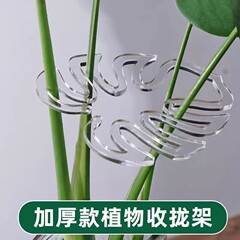 龟背竹支撑杆花支撑架枝干收拢架植物防倒伏支架绿植固定塑料绳子