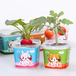 ��ͯ���DIYؓ�x�ӾGֲС����ˮ���辰�������㌚���Nֲ�������l