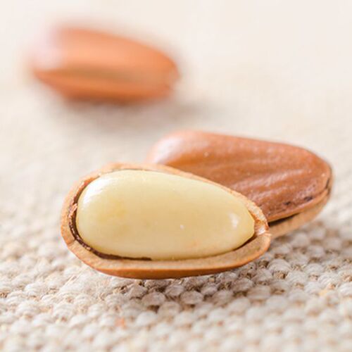 New special Northeast large pine nuts 500g bulk Northeast specialty hand-peeled open nut snacks roasted pine nuts wholesale