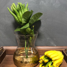 【水养带枝小果】观赏闻香佛手果金华佛手鲜果鲜切枝插花瓶水培
