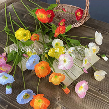 4^ֲqڻc·仨\b羳؛Դٻ