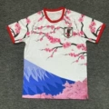 Japan 27