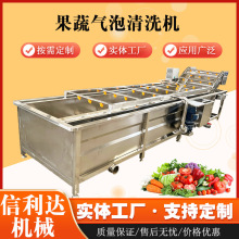 辣椒酱生产线  水果喷淋清洗机 多功能鼓泡清洗机蓝莓葡萄干清洗