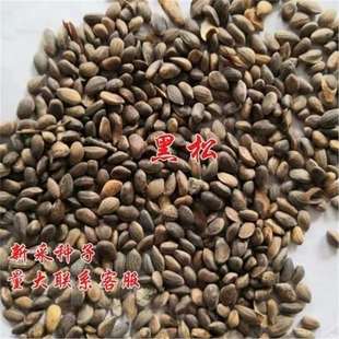 �²ɺ��ɷN�� ��ľ�е���N�� �Rβ�����ɷN���ɘ���ľ�G����N��