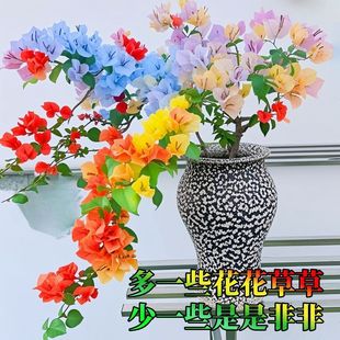 ���z�h֦����÷����������Ʒ�̨ͥԺ���ܿɳ����_�������՚��׻�