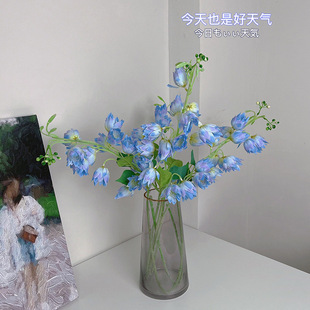 ���滨ֲ�q�Pβ�m�ٻ������ҾӔ[�Ż��ܻ�c��Y�b���m���L⏻�