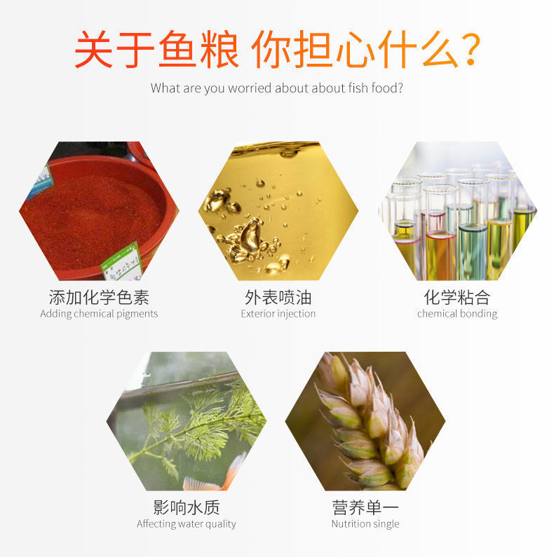 74c3444a-f3a0-4250-b794-332c461bd5c0.jpe
