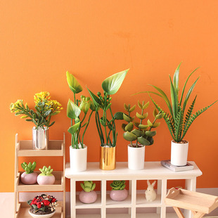Miniature model plant green plant pot mini Model 1:12 points doll house ob11 bjd play house scene
