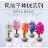 Base wholesale Fengxinzi Pymalisia Four Seasons Cold Revitalized Flower Potted Plant Hydroponic Plant Set indoor and outdoor desktop