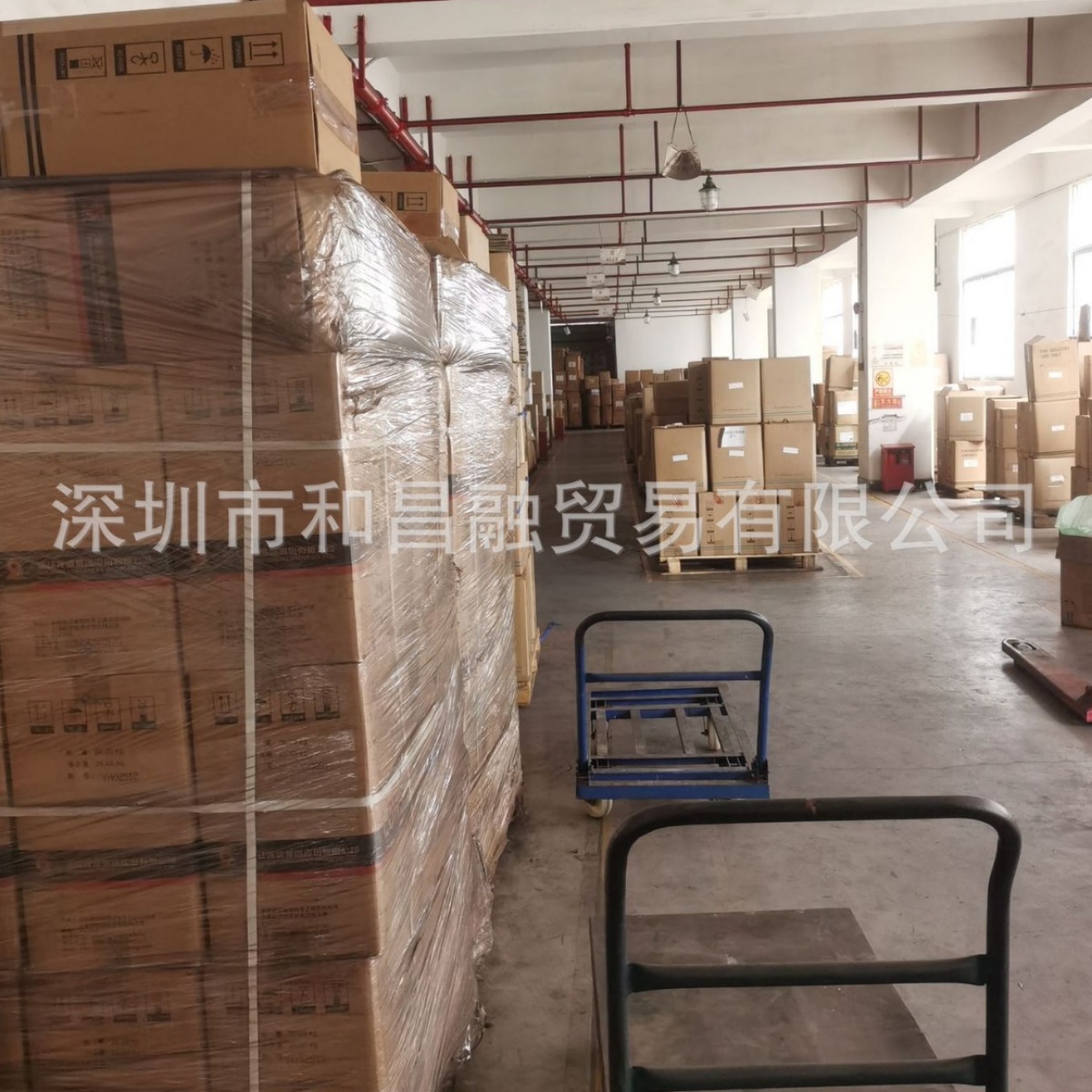 2024-07-23 14:49:28.jpg