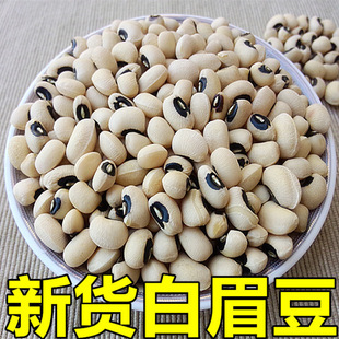 ��ü����؛�V�|�r���ԷN�׸׶��׶�����N���Ҝ�������؛�ɶ�