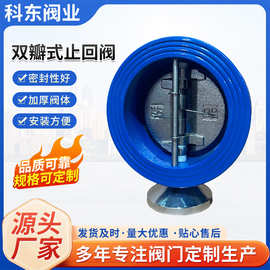 双瓣式止回阀 阀 单向逆止阀 防止流体逆流 用于水利工程