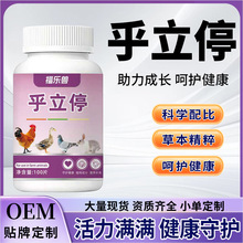 乎立停鸡鸭鹅鸽兔鹌鹑咳嗽气喘张嘴呼吸呼噜怪叫缩头呆立养殖必备