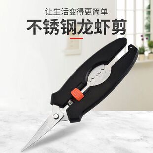 �����r���ü����������͚�С���r�������c�����߲��P䓺��r�rβ��