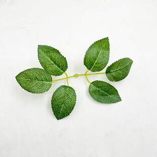 Manufacturers supply six-chak silk-print rose leaf silk-screen flower rose simulated leaf rose six-leaf cloth wedding special