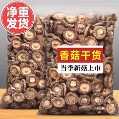 シイタケ乾燥品500g古田特産農家精選スープ肉厚無根乾燥キノコキノコシイタケ冬茸卸売り