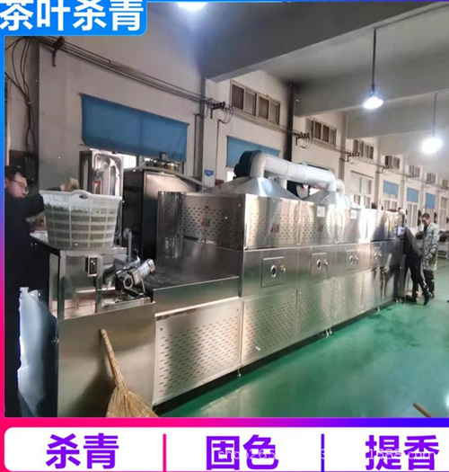 菊花微波杀青设备 流水线金银花荷叶微波固色提香机