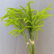 ���˜I���� ��β�� ��β�� ���� ���W�ҾӲ廨��c�zӰ����ֲ���