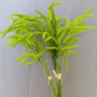 ���˜I���� ��β�� ��β�� ���� ���W�ҾӲ廨��c�zӰ����ֲ���