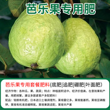 芭乐果专用有机复合肥果树苗底肥追肥缓释肥微量元素潘石榴颗粒肥