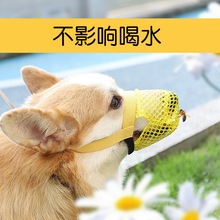 ��������С����С��Ȯ���y�Է�ҧ�����ַ��`ʳ������Ȯ����##