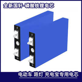 国轩磷酸铁锂电芯3.2V 30AH 48 60伏大单体电动车储能电池铝壳