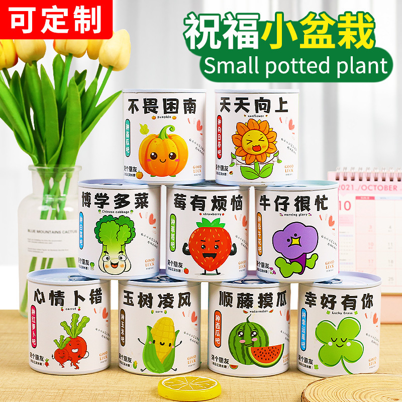 Children's Day Plant Small Potted Plants Net Red Blessing Potted Cans Potted Tabletop Small Green Plants Canned Planting