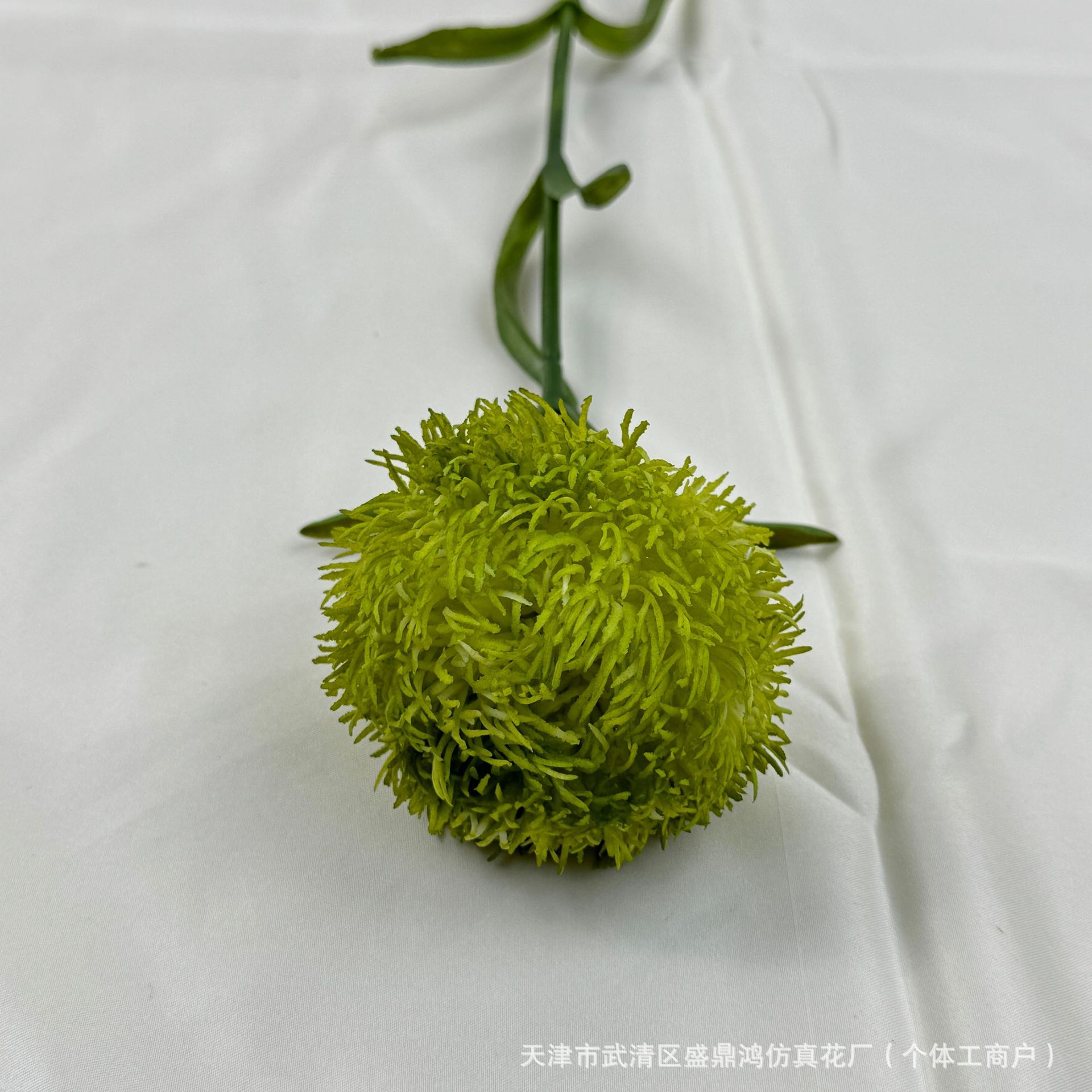 밝은 녹색