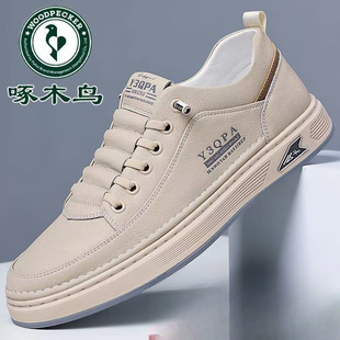 ��ľ�B������Ƥ���eƤЬ2025�＾�¿���ʿ�ٴ�ܛ�׷�����Ь��ĥ��