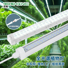 T8��ˮֲ�����L��IP65����M��ȫ���V�����r��Ժ�����߲��a���