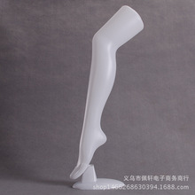 ������ģ���˽z�m���ѝ�m�_��ɫ�wɫ͸�����w�L���mģ��������ģ