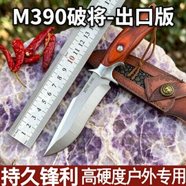 不锈钢厨用刀;观赏刀具;其他刀