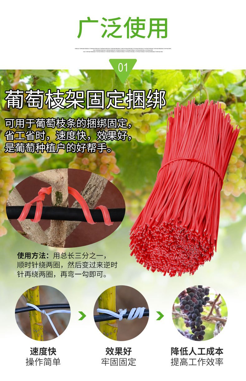 16110440429_1794298891