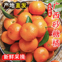 ���ڏV��ɰ�������rˮ��5�ﮔ���۽۽���ɳ�ǽ�����ؕ��������]