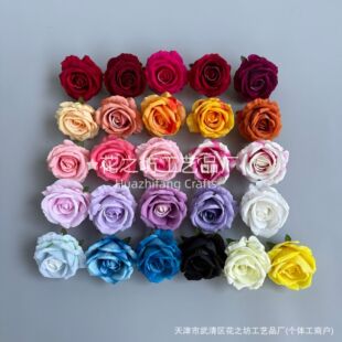 ����õ�廨�^��c�廨�������b��Ļ��h�������l��õ�廨�q����