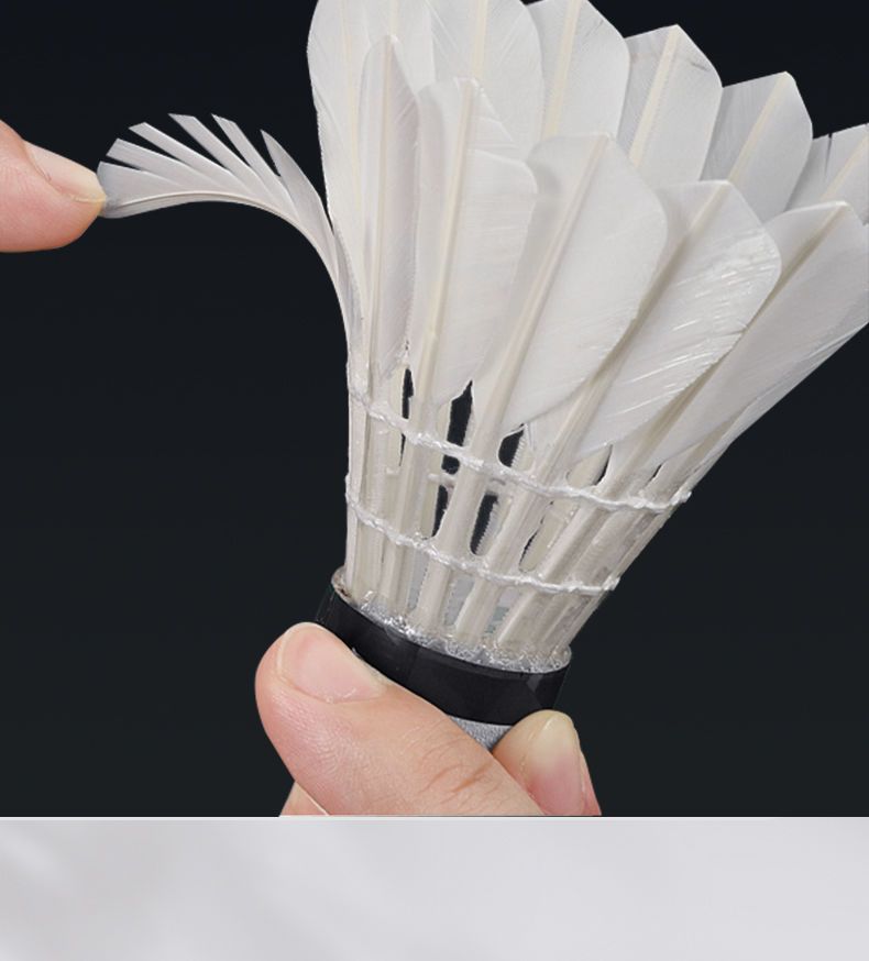 e2294bcf-7dd2-4d57-8dda-bb5a29fc7d7b.jpe