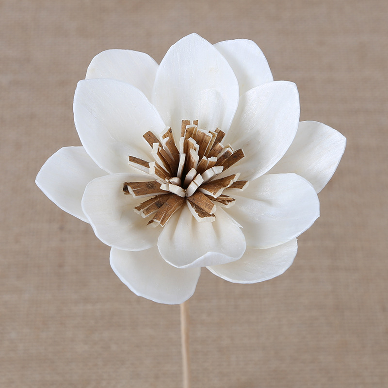 Lotus flower, orchid, incense oil absorbent flower, fragrance dried flower, artificial peony flower, home decoration dried plant flower