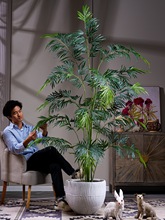 高端轻奢德宝苏铁仿真绿植物盆栽室内客厅落地装饰摆件仿生假树