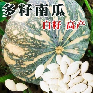 ���ڶ����ϹϷN�ӌ��T�a�ѵ��Ϲ�Ʒ�N�Ѹ߮a������׹��Ѵ����